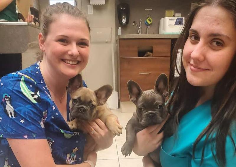 Veterinary staff at Heartland Niagara Animal Hospital