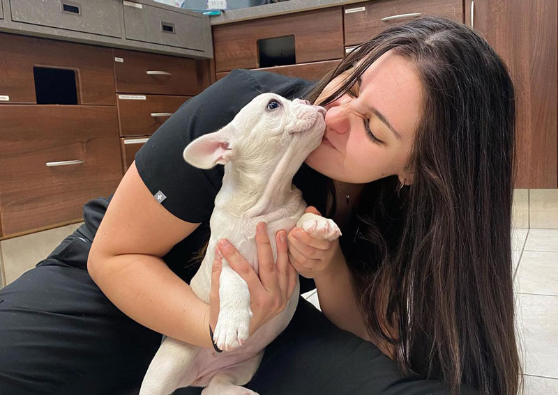 Carousel Slide 5: Meet our caring veterinary team!